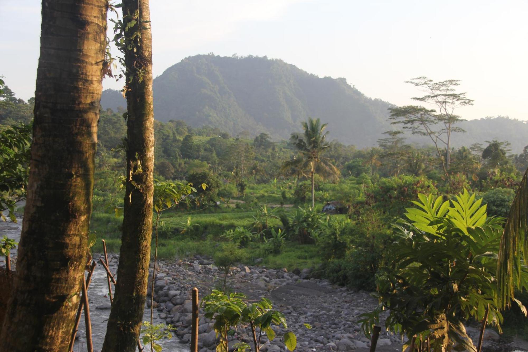 Anandinii River Lodge By Agata Sidemen  Luaran gambar