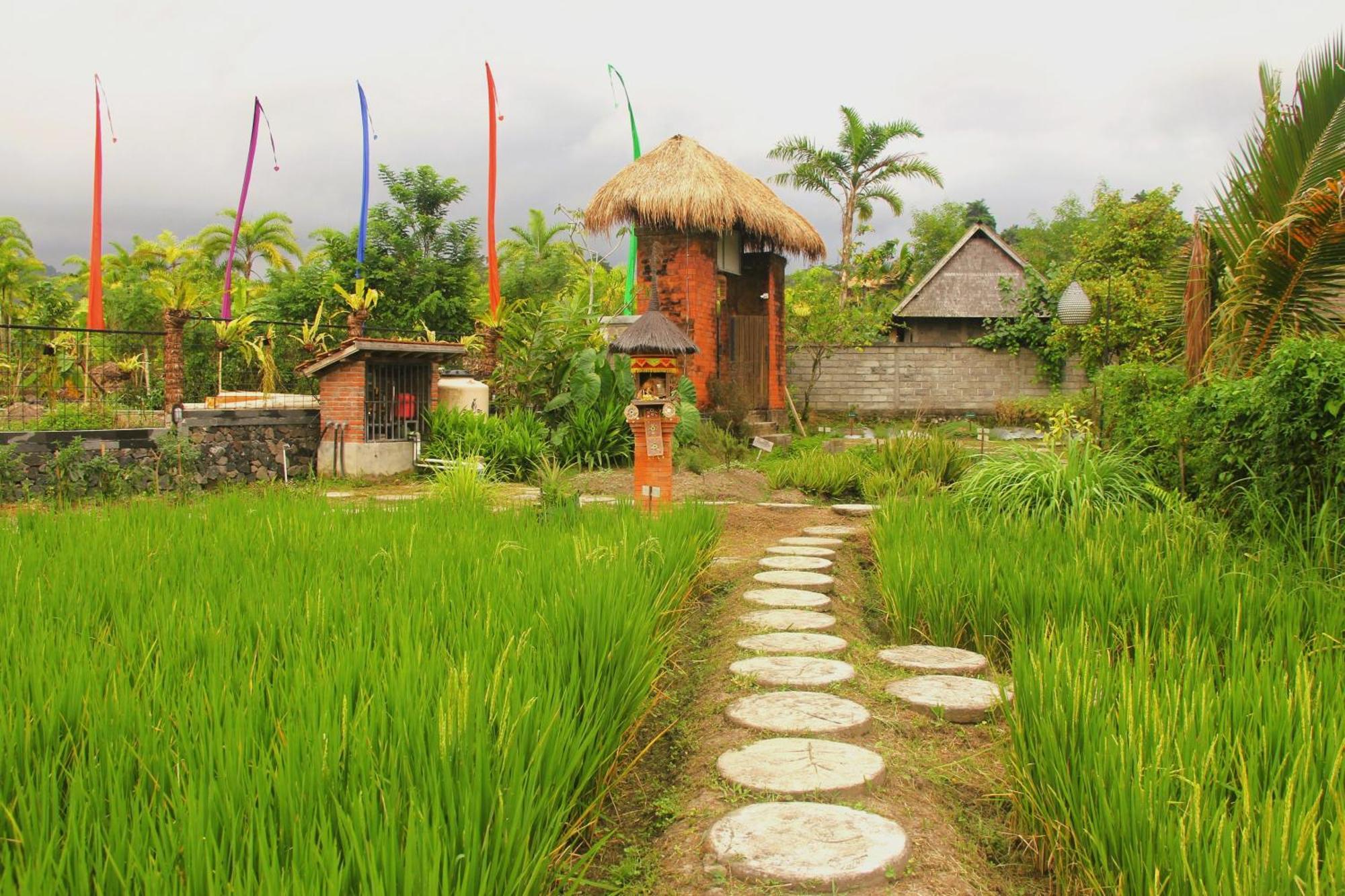 Anandinii River Lodge By Agata Sidemen  Luaran gambar